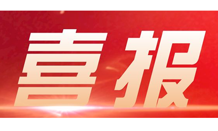 必威betway东盟体育再度荣获中国模协评定的“年度优秀供应商”